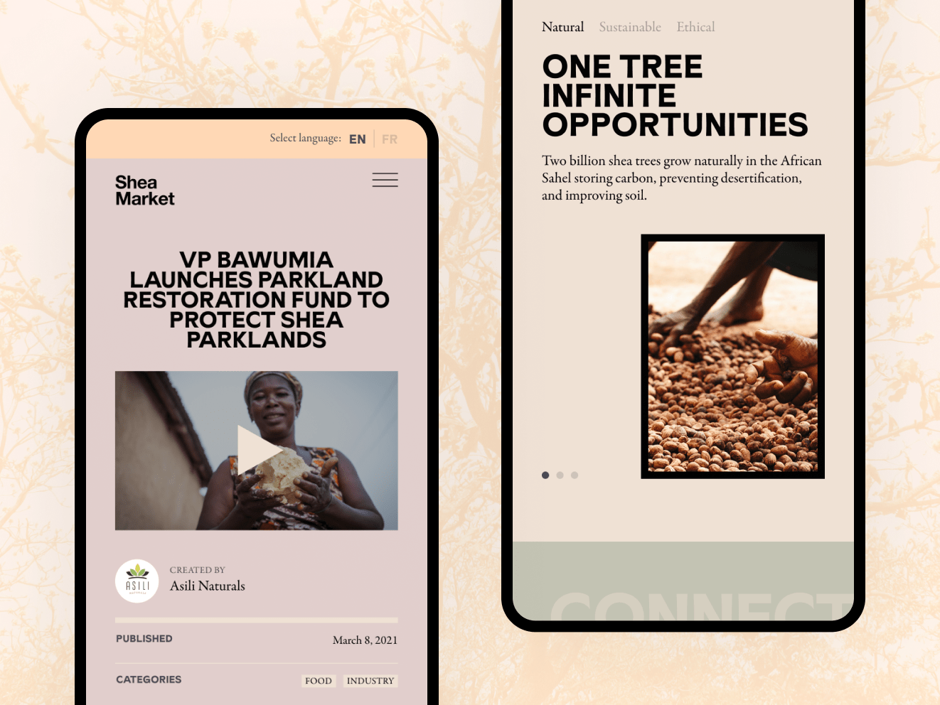 Two iphones against an orange-pink tye-dye background. One shows an article about a restoration fund with a video of a woman gesturing. The other has black text that reads: "One tree infinite opportunities" with a tan design and an image of hands rooting through a pile of shea nuts.