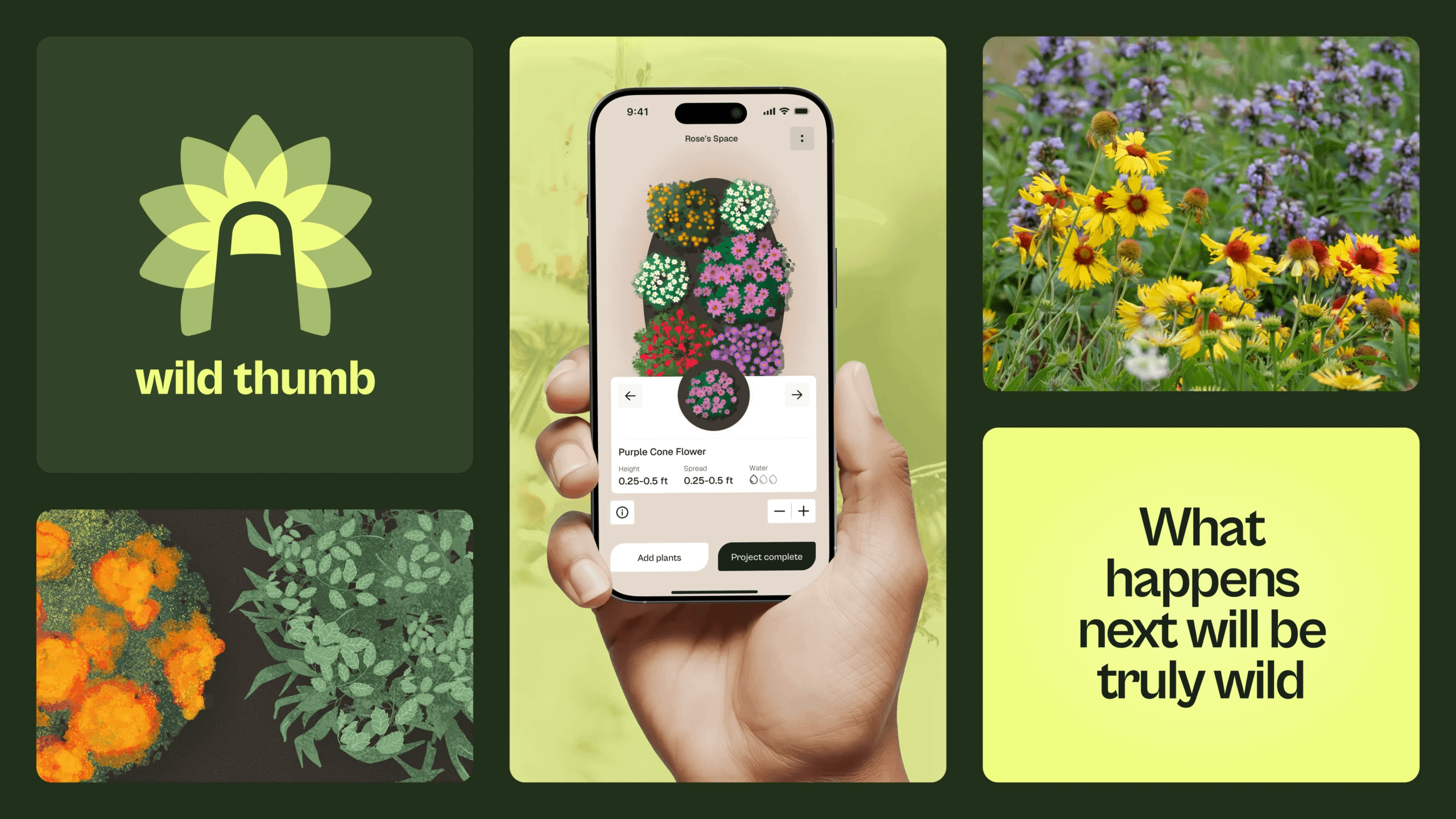 A grid showing various elements of the Wild Thumb brand, including the logo, a hand holding the app, and text that reads: What happens next will be truly wild.